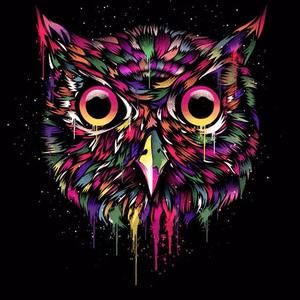 Meet your Posher, Bethie